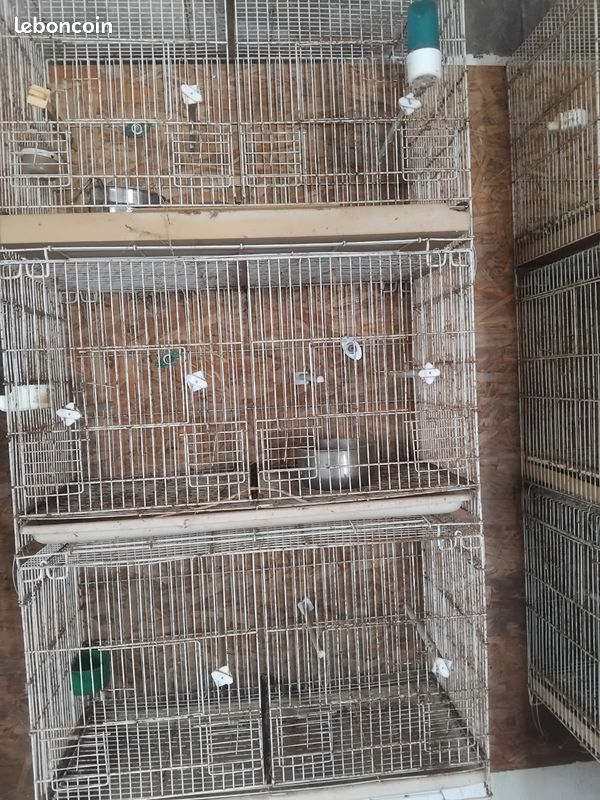 Cages (image 3)