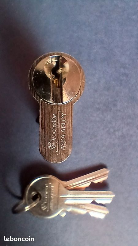 Cylindre de porte 30x30 Vachette ASSA ABLOY (image 4)