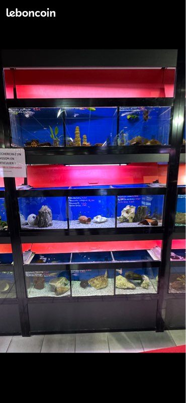 Batterie aquarium (image 3)