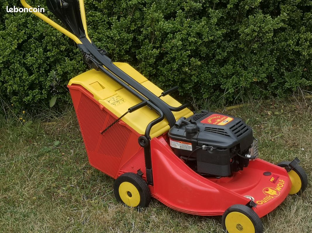 Tondeuse WOLF PBT46 (image 1)