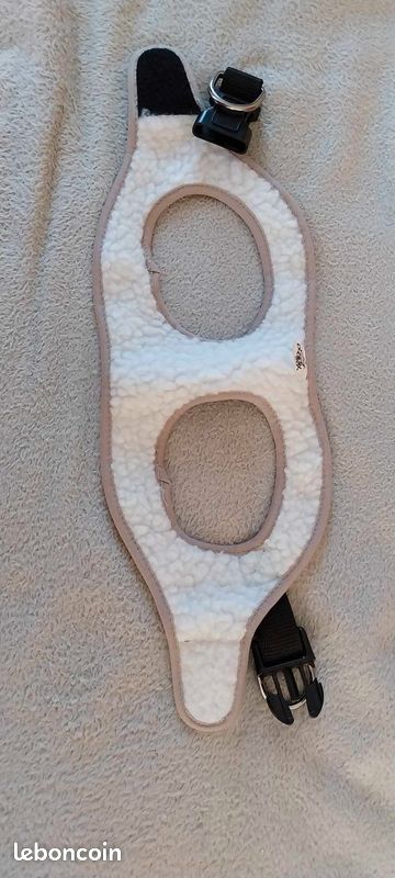 Harnais pour chien petite taille neuf (image 2)