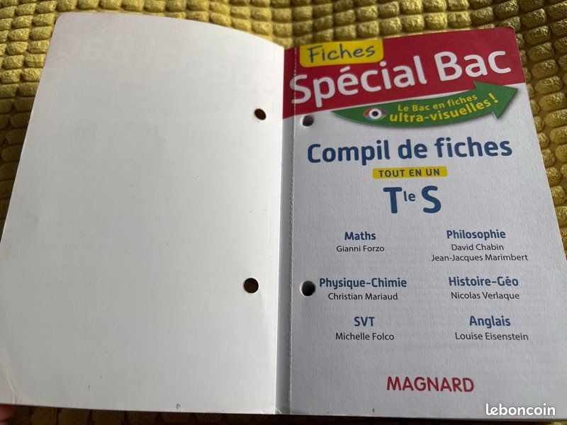 Fiches Bac Terminale (image 4)