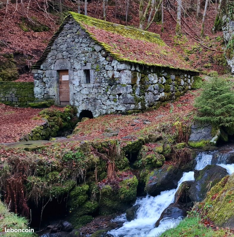 Charmante maison Auvergnate (image 9)