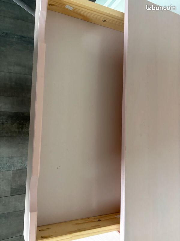 Bureau rose (image 5)