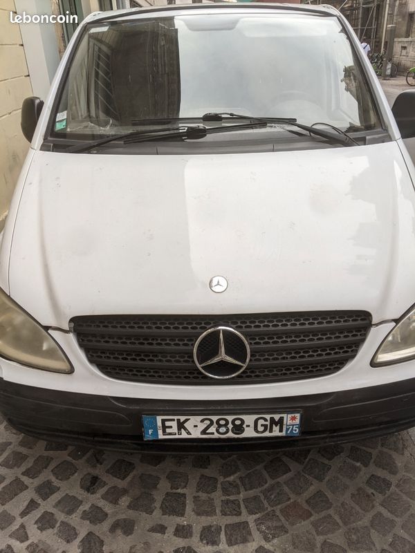 Vito (image 2)