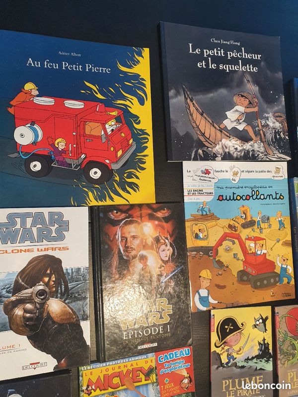 Livres enfant (image 8)