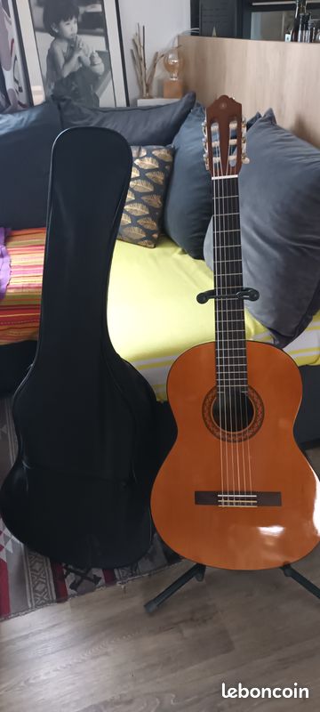Vends guitare et accessoires (image 1)