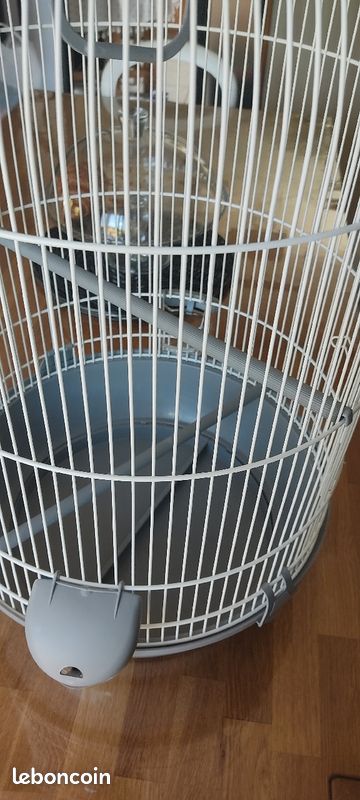 Cage oiseaux (image 3)