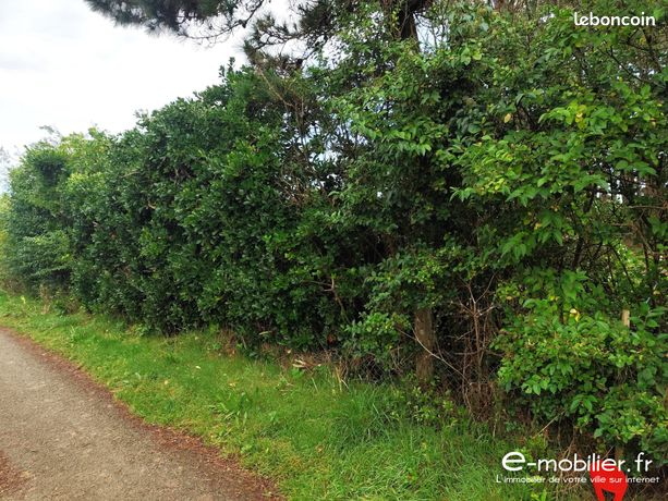 Terrain 275 m² Groix