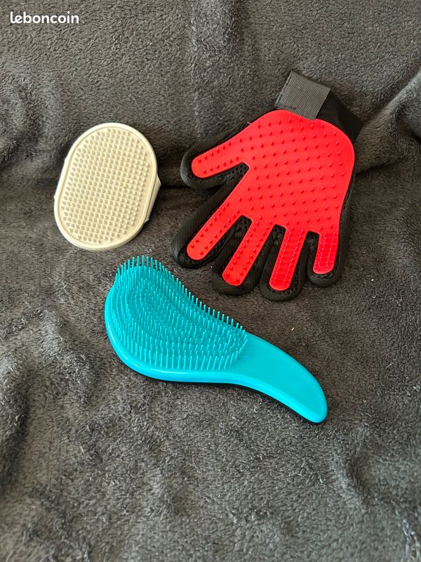Accessoires pour chien (image 1)