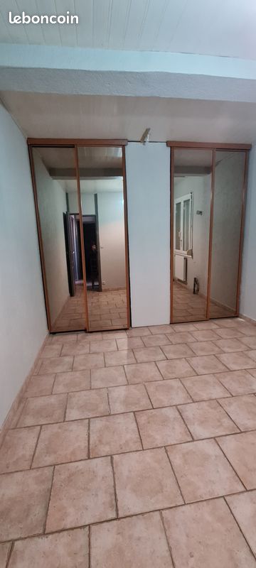 Portes coulissantes mirroirs (image 1)