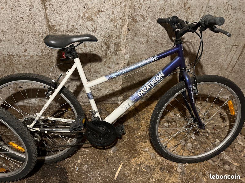 Vélos adultes ou ado (image 1)