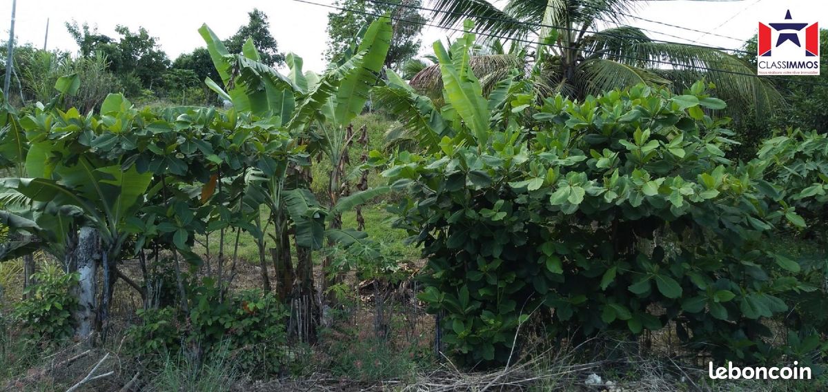 Terrain 1000 m² · à Morne-à-l'Eau · 1 000 m² · 73 500 €