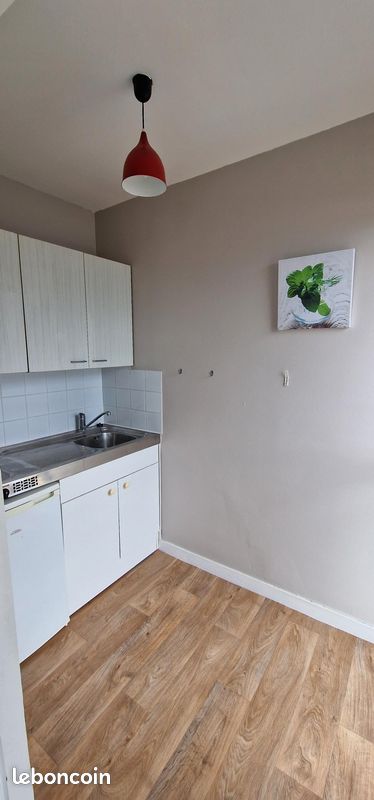 A louer T1 meublé 28m² - Limoges 87000 Centre-Hôtel de Ville Emailleurs (image principale 2)