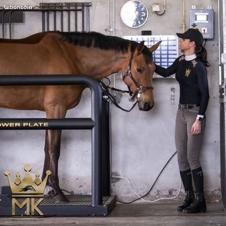 Plaque vibrante pour chevaux – neuf – livraison rapide – prix occasion