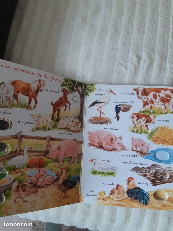 Mini dictionnaire les animaux (image 5)