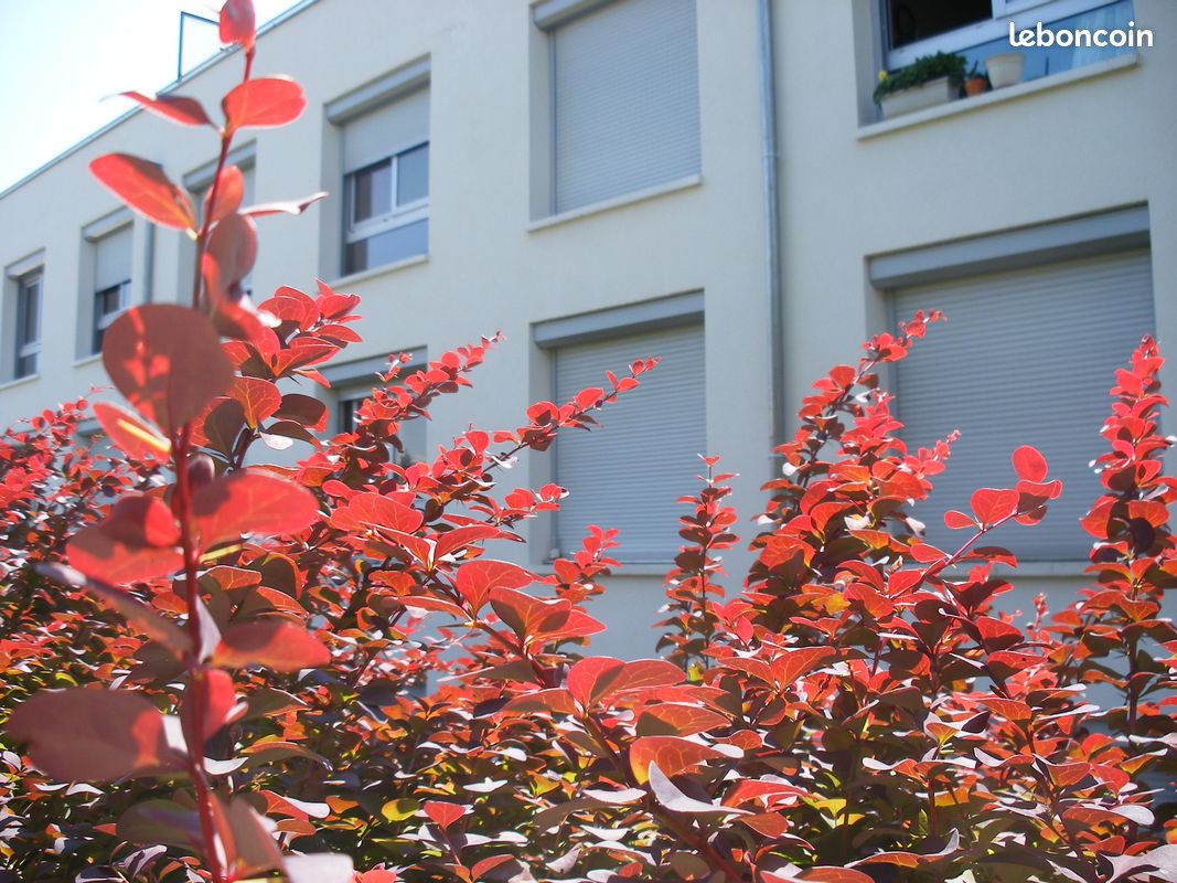 Appartement 1 pièce 25 m² · à Besançon · 25 m² · 420 €