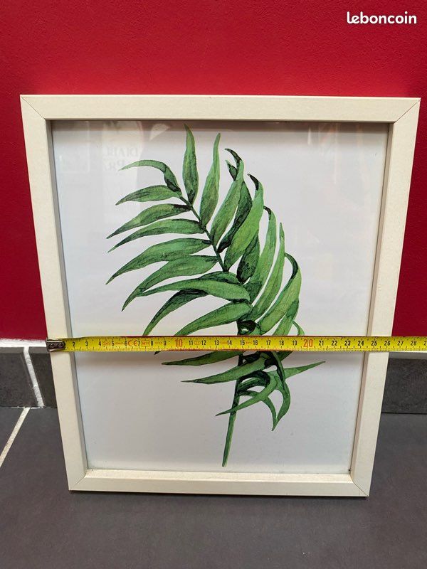 Cadres plantes exotiques (image 5)