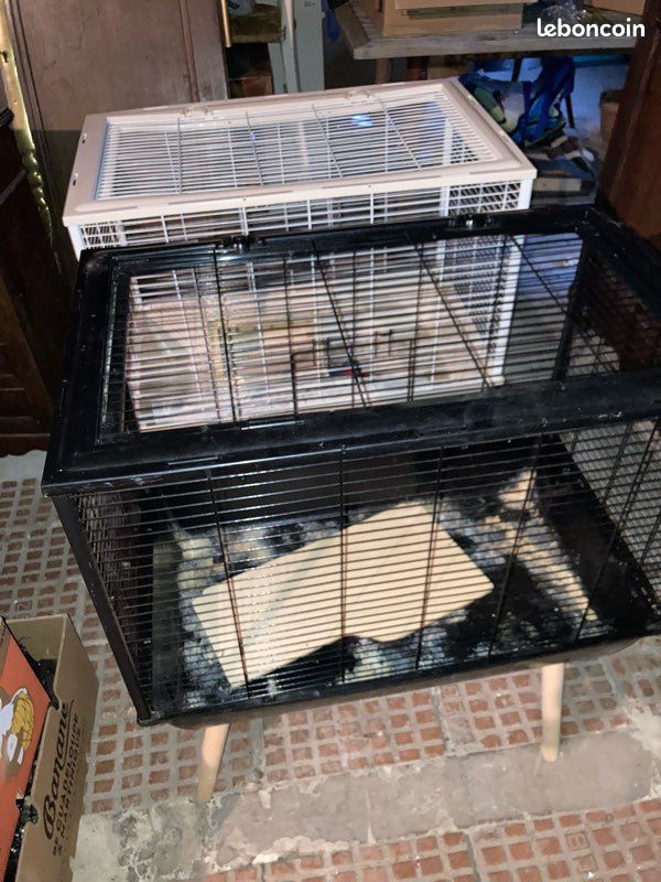 Cage bon état (image 3)