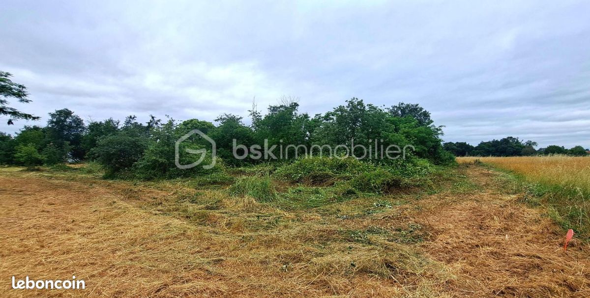 Terrain 1 143 m² Peyssies · 80 000 €