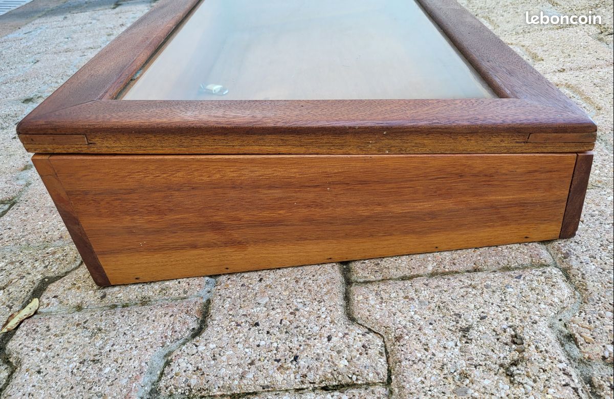 Vitrine (image 2)