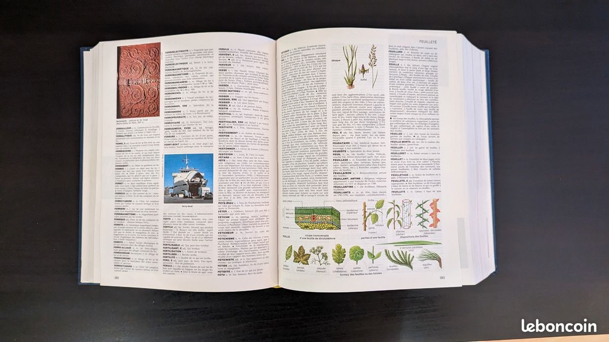 Dictionnaire Petit Larousse en couleurs - Édition 1982 (image 2)