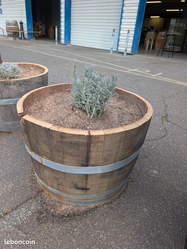 Jardinières & Pots en chêne massif (anciennes barriques de vin/whisky) (image 1)