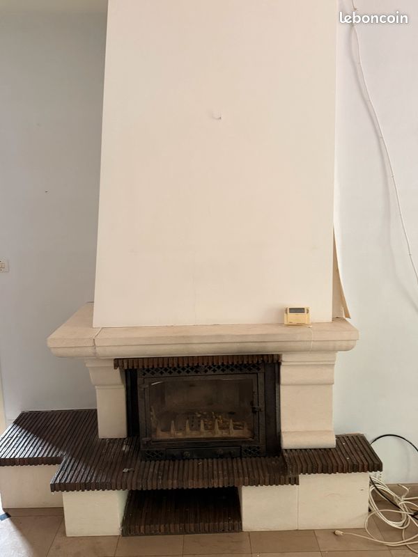 Vends cheminée avec insert (image 1)