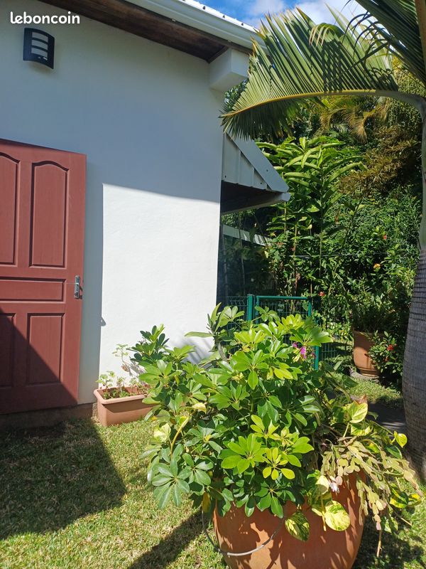 Location T2 (image 1)