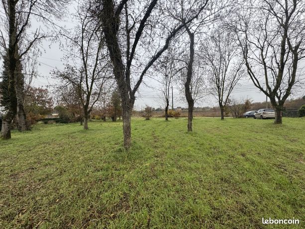 Terrain 1288 m² Montauban