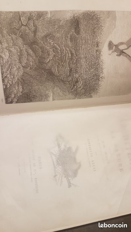Les architectes de la nature 1870 (image 4)