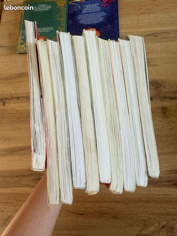 Lot de 10 livres Mortelle Adèle - Bayard Jeunesse (image 5)
