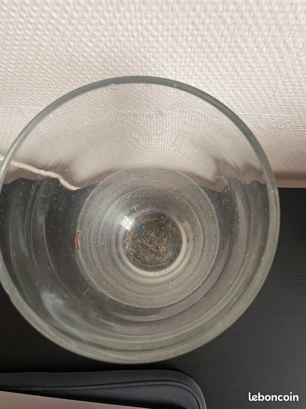 Vase (image 2)