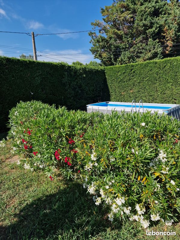 La Maison du Berger st Rémy de Provence (image 4)