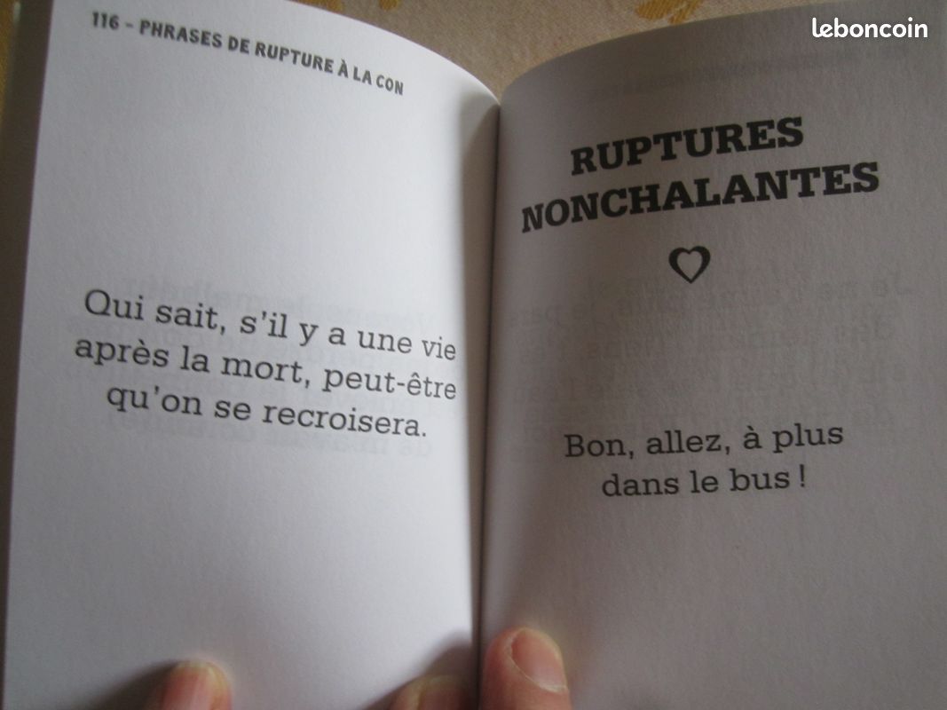 Petit livre : Phrases de rupture à la con de Monsieur Jo (image 5)