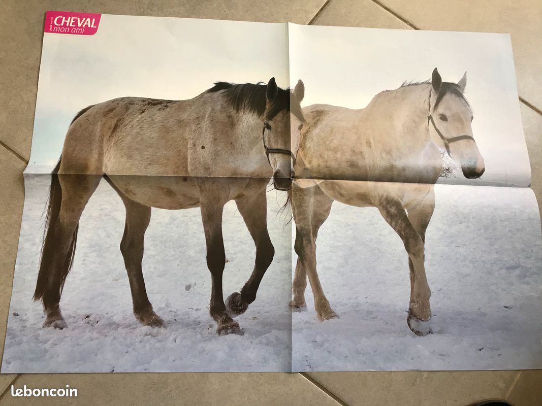 Poster cheval (image 2)