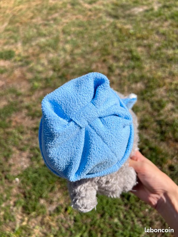 ❄️ Lot de 2 peluches Me To You oursons gris et bleu (image 17)