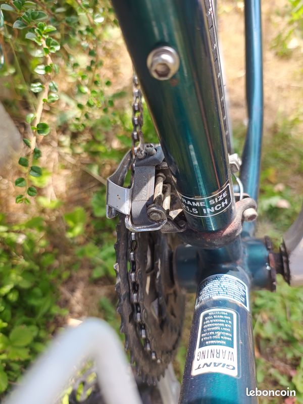 Vélo giant (image 2)