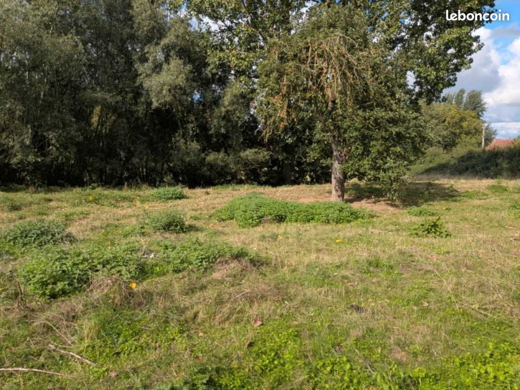 Terrain 1100 m² · à Vendegies-sur-Écaillon · 1 100 m² · 79 000 €