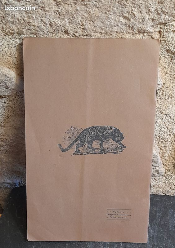 Livre ancien LES SAUVAGINES RICHARD MILLET (image 10)