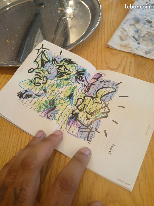 Lot de 10 romans graphiques (image 13)
