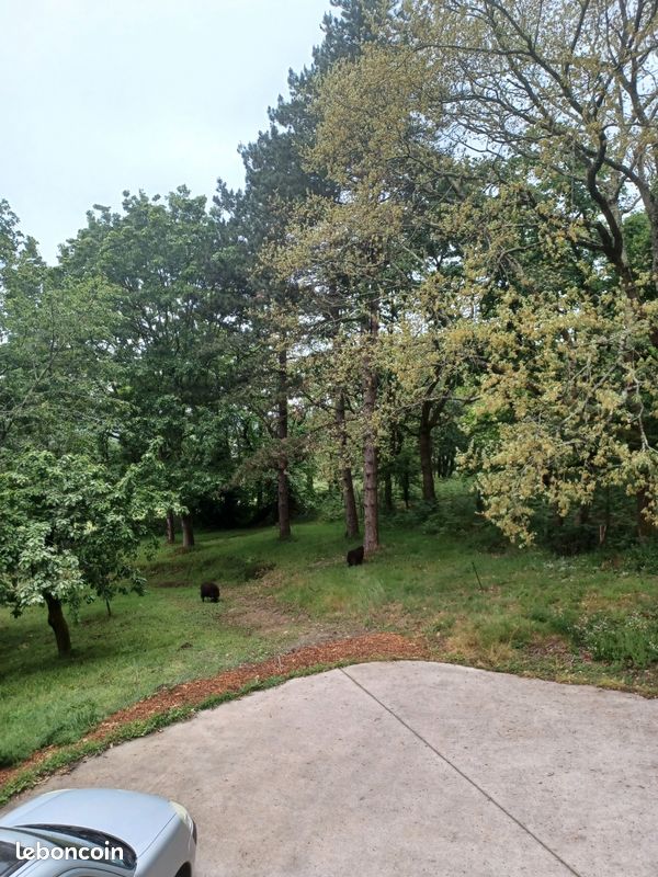 Maison 6 pièces 160 m² · à Cordemais · 160 m² · 380 000 €