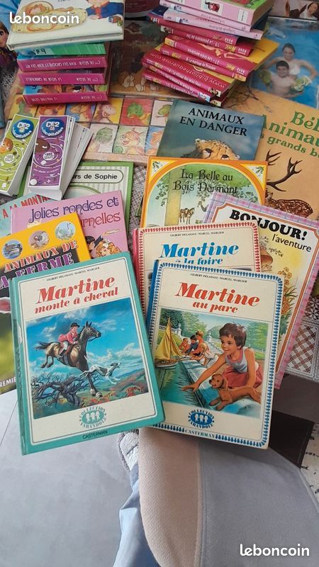 Gros lot de jouets, puzzles, livres, Lego, Barbie, micro karaoké, palmes, bottes de neige, jeux Meccano, valise éléphant : tout doit partir (image 7)