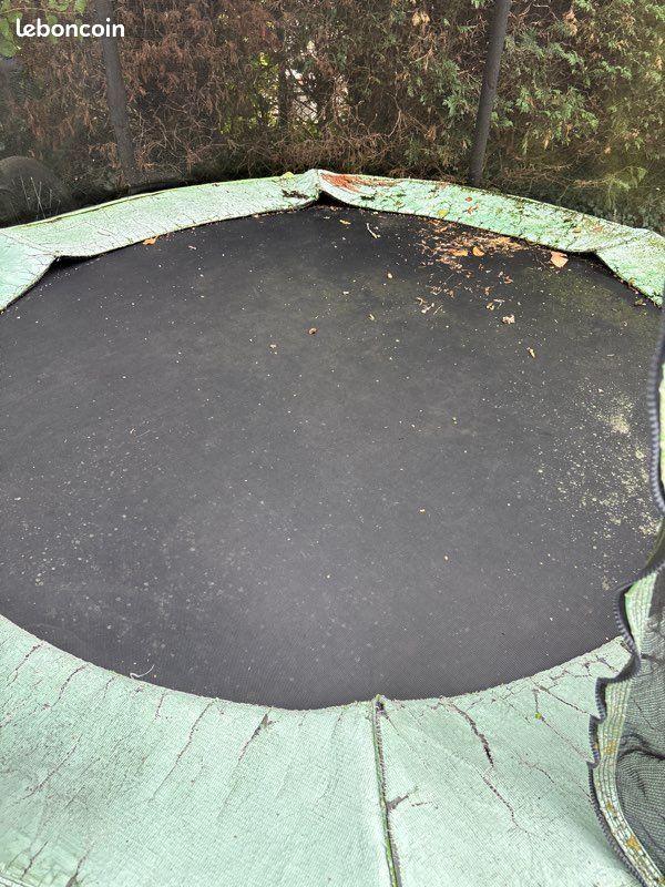Donne trampoline (image 2)