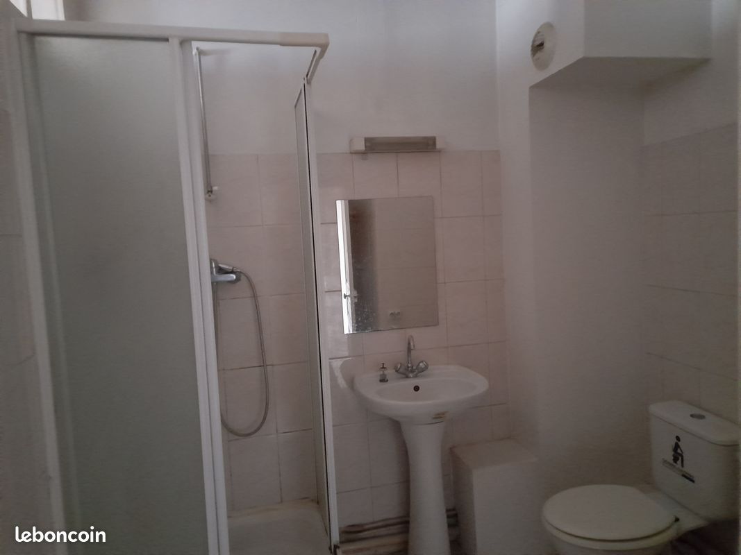 Loue T2 Limoges centre proche place D. Dussoubs - Limoges 87000 Centre-Hôtel de Ville Emailleurs (image principale 2)