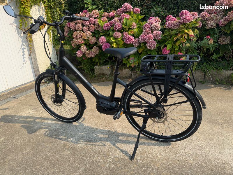 Vélo à assistance électrique Giant (image 3)