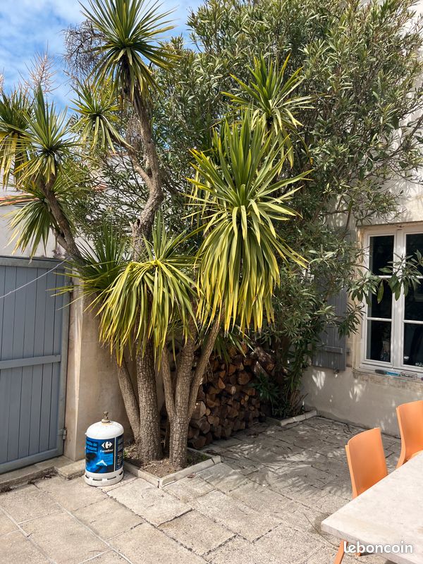 Chambre d’hôte île de Ré (image 5)