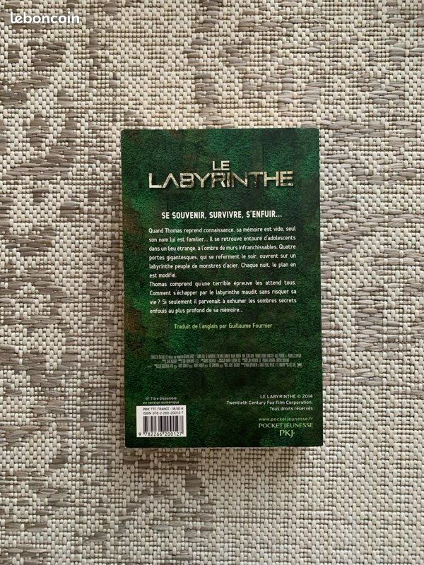 Le Labyrinthe de James Dashner (image 3)