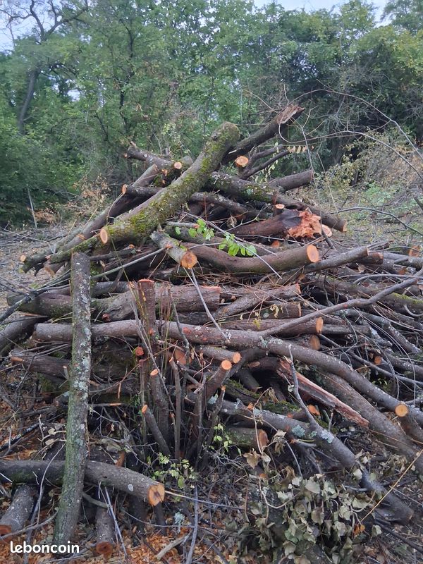 Bois de chauffage – Vente ou échange (image 1)