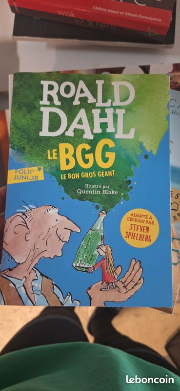 Livre roald dahl LE BGG (image 1)